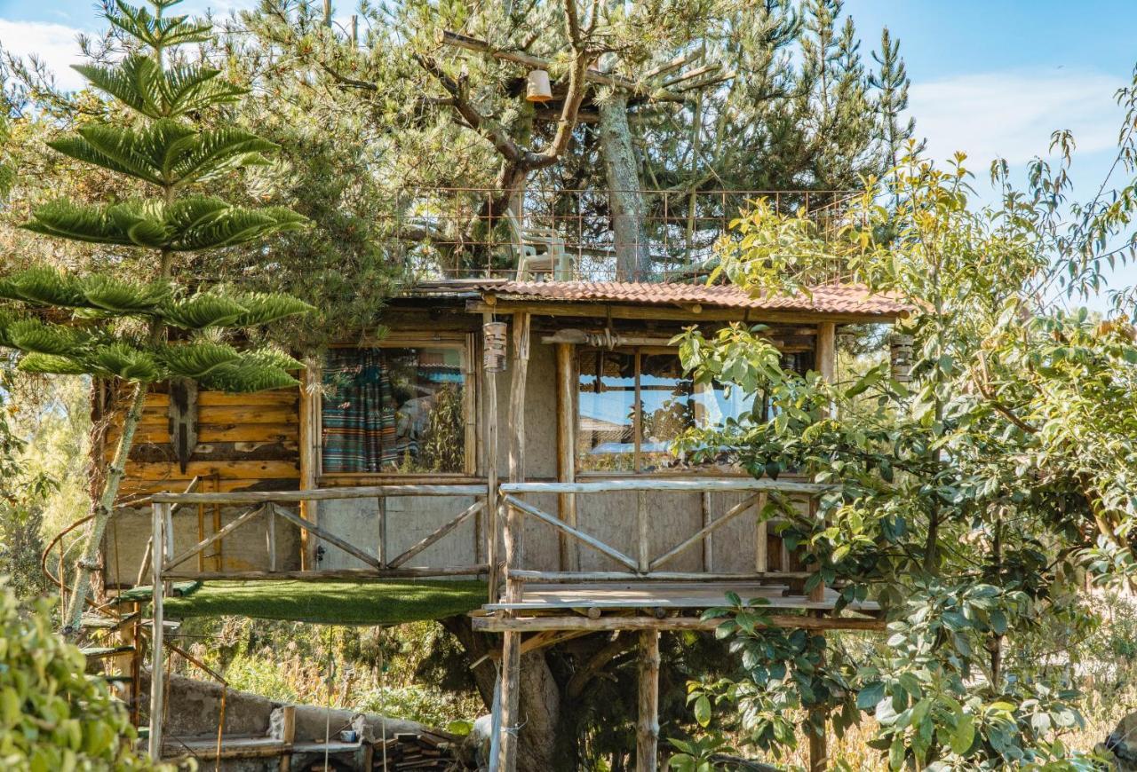 Campo Lago Hospedaje San Pablo Del Lago Exterior photo